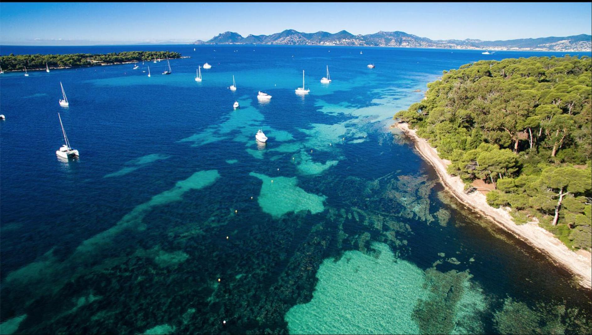 Le Bristol Apartamento Cannes Exterior foto